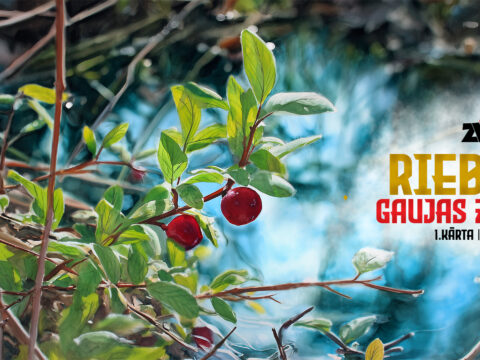 Gaujas ziema 1. kārta