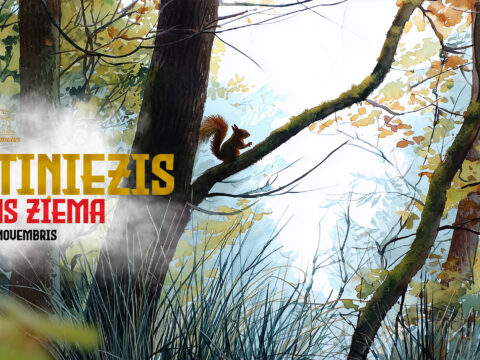 Gaujas ziema 4. kārta Sietiņiezis