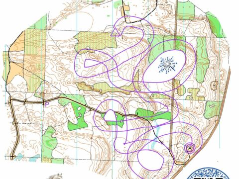 Lai aktīvs Jaunais gads!